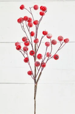 Decorator's Warehouse 26” Beaded Crabapple Spray - Red > Cardinal|Christmas Sprays