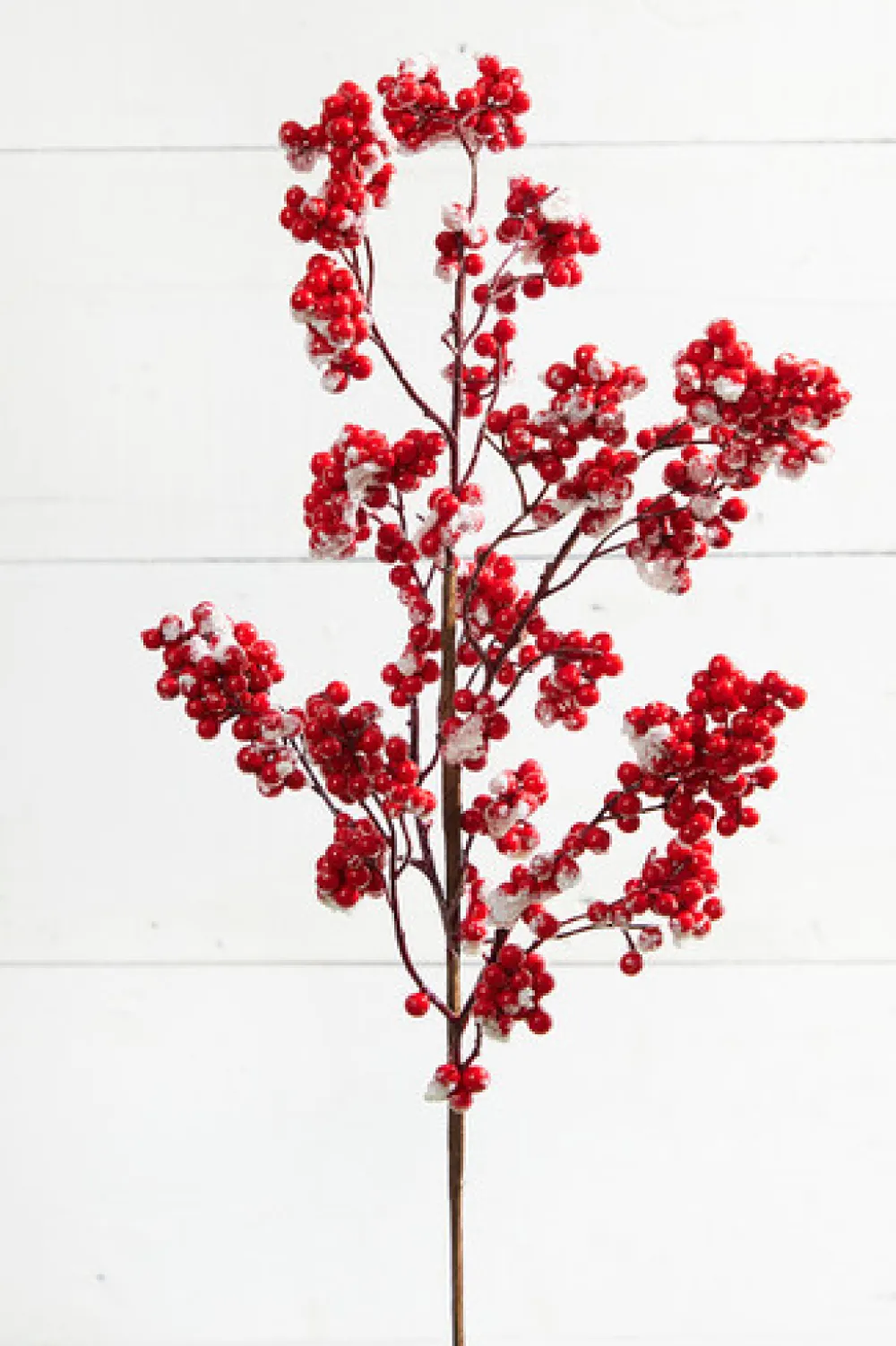 Decorator's Warehouse Believe Sprays Mini Bundle > Tree Toppers|Sprays Mini Bundles