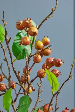 Decorator's Warehouse 32" Berry Branch Spray - Chestnut > Christmas Decor