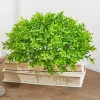 Decorator's Warehouse 10" Boxwood 1/2 Orb > Spring Greenery|Christmas Decor