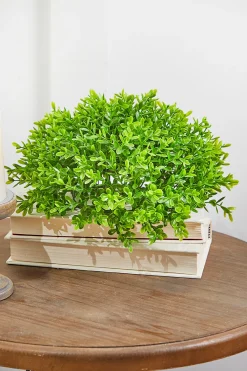 Decorator's Warehouse 10" Boxwood 1/2 Orb > Spring Greenery|Christmas Decor