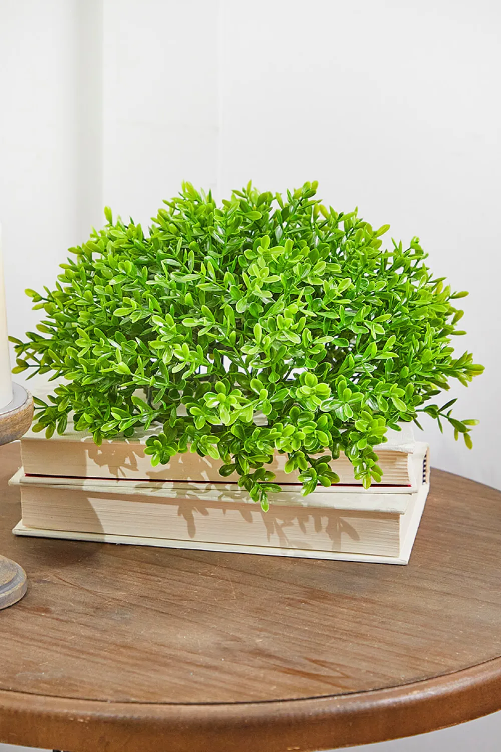 Decorator's Warehouse 10" Boxwood 1/2 Orb > Spring Greenery|Christmas Decor