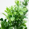 Decorator's Warehouse 32" Boxwood Spray > Spring Greenery|Christmas Decor