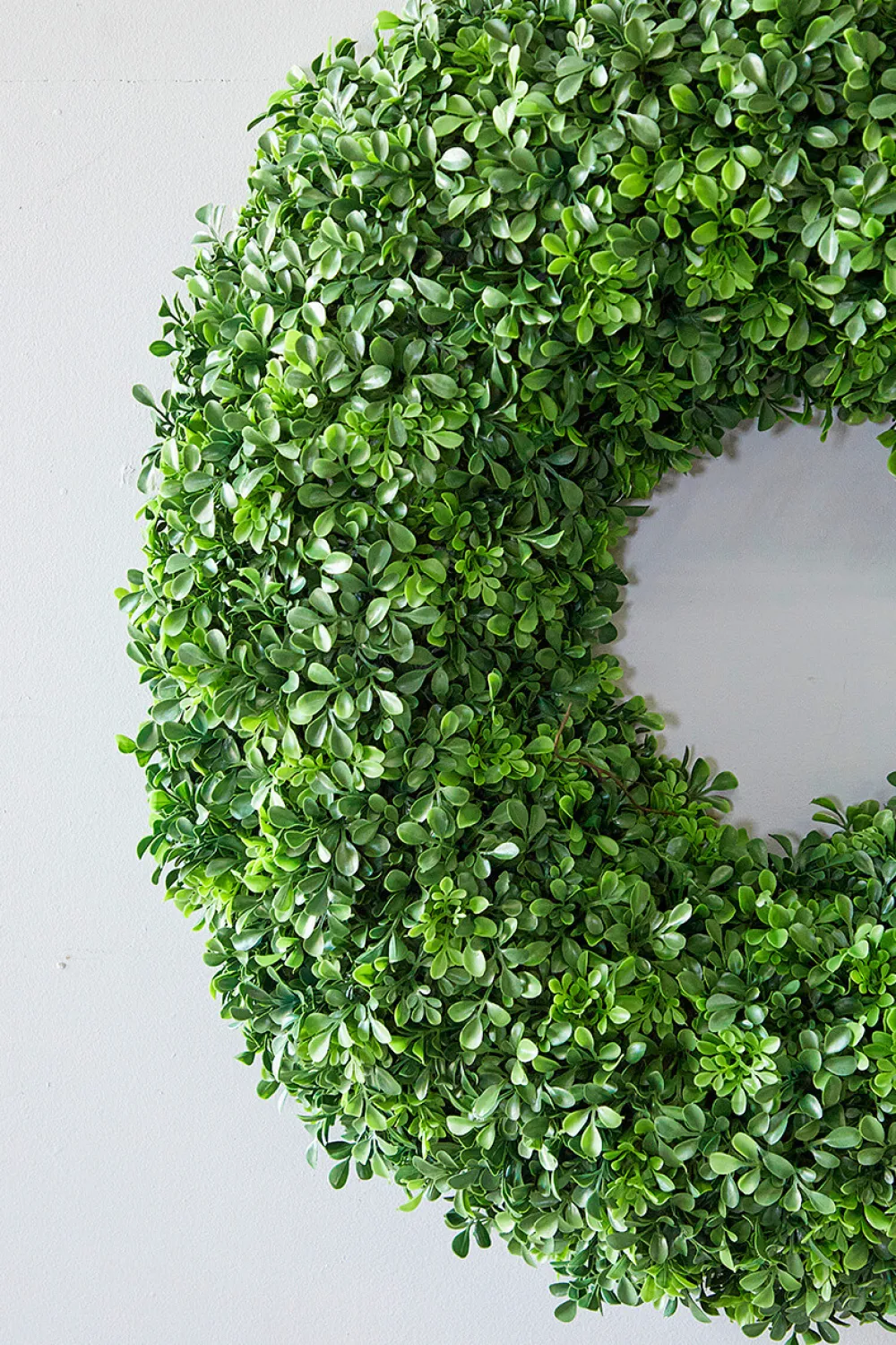 Decorator's Warehouse 30" Boxwood Wreath > Christmas Decor|All Wreaths