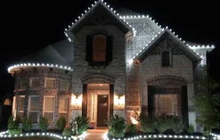 Decorator's Warehouse Case - Cool White C9 Wonderful Faceted (500pcs) > C9 Bulbs|Christmas Decor