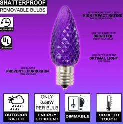 Decorator's Warehouse Case - Purple C9 Wonderful Faceted (500pcs) > C9 Bulbs|Christmas Decor