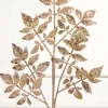 Decorator's Warehouse 28" Champagne Glitter Leaf Spray > Christmas Sprays|Christmas Decor