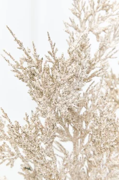 Decorator's Warehouse 20" Champagne Juniper Spray > Christmas Sprays|Christmas Decor