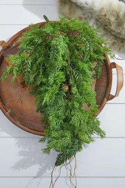 Decorator's Warehouse 32” Christmas Cedar/Hemlock Swag > Cardinal|Natural Greenery
