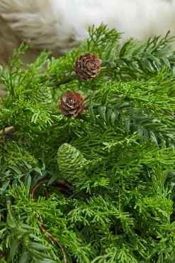 Decorator's Warehouse 32” Christmas Cedar/Hemlock Swag > Cardinal|Natural Greenery