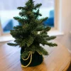 Decorator's Warehouse 18” Christmas Tree In Green Decorative Bag > Tabletop & Accent Trees|Christmas Accents