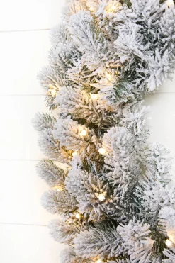 Decorator's Warehouse 36" Classic Flocked Wreath With Warm White LED Lights > 36"|Christmas Decor