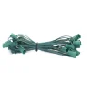Decorator's Warehouse C9 Socket Cord - 25' 12" Spacing > Outdoor Lighting|Accessories