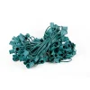 Decorator's Warehouse C9 Socket Cord - 100' 6" Spacing > Outdoor Lighting|Accessories