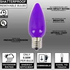 Decorator's Warehouse C9 Wonderful LED SMD Bulb (25 bulbs/bag) - Frosted, Purple > C9 Bulbs|Christmas Decor
