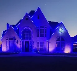 Decorator's Warehouse C9 Wonderful LED SMD Bulb (25 bulbs/bag) - Faceted, Blue > C9 Bulbs|Christmas Decor