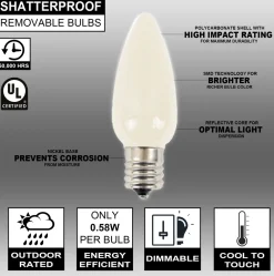 Decorator's Warehouse C9 Wonderful LED SMD Bulb (25 bulbs/bag) - Frosted, Warm White > Vintage Christmas Lights|C9 Bulbs
