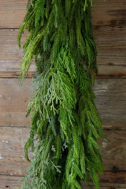 Decorator's Warehouse 48” Cyprus/ Norfolk Pine Garland > Real Touch Garlands|Cardinal