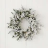 Decorator's Warehouse 24" Dandan Plug-In Flocked Wreath with Warm White LED Lights > Under 30"|Pre-Lit Wreaths