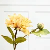 Decorator's Warehouse 21" Dried Dahlia with Bud Stem > Christmas Decor|Spring Florals