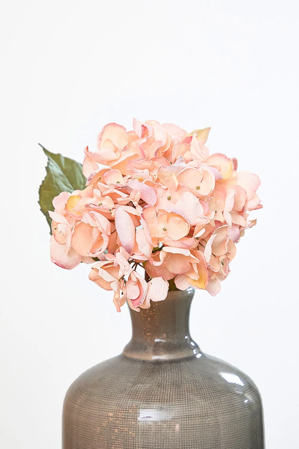 Decorator's Warehouse 22" Dried Grand Hydrangea Stem - Pink > Christmas Decor|Valentine'S Decor