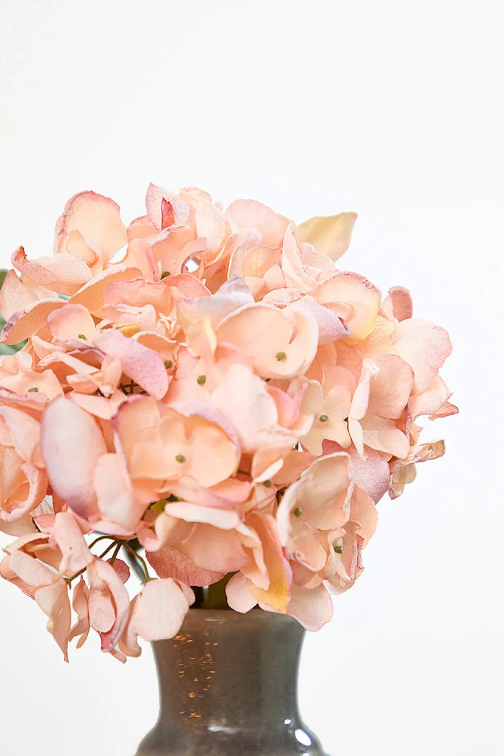Decorator's Warehouse 22" Dried Grand Hydrangea Stem - Pink > Christmas Decor|Valentine'S Decor