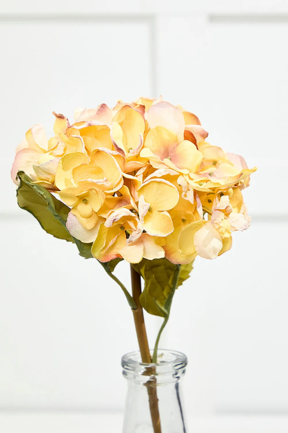 Decorator's Warehouse 22" Dried Grand Hydrangea Stem - Yellow > Christmas Decor|Spring Florals