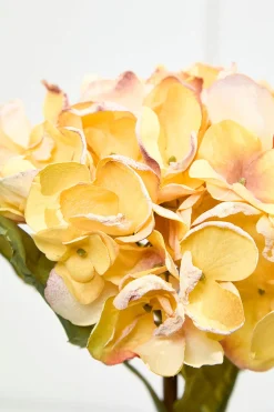 Decorator's Warehouse 22" Dried Grand Hydrangea Stem - Yellow > Christmas Decor|Spring Florals