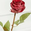 Decorator's Warehouse 21" Dried Red Rose Stem > Christmas Decor|Valentine'S Decor