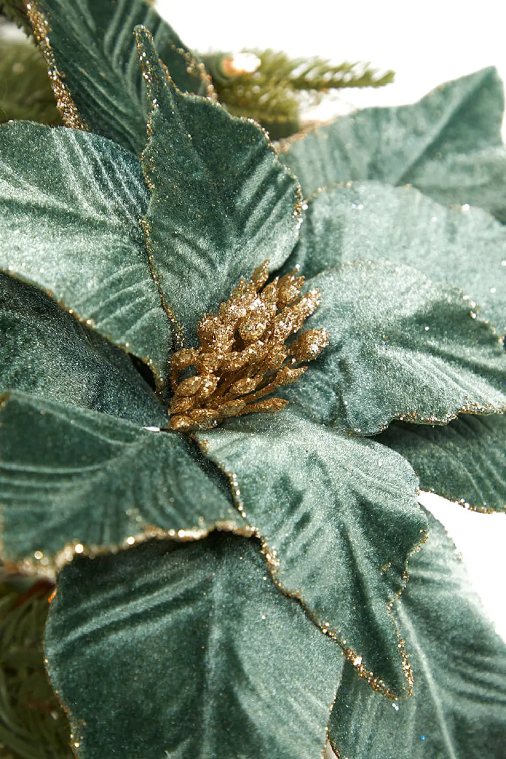 Decorator's Warehouse 22" Dusty Green Velvet Poinsettia Stem > Christmas Decor|Christmas Flowers