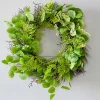 Decorator's Warehouse 22" Eucalyptus Fern Wreath > Christmas Decor|All Wreaths