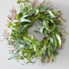 Decorator's Warehouse 22" Eucalyptus Wreath > Christmas Decor|All Wreaths