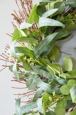 Decorator's Warehouse 22" Eucalyptus Wreath > Christmas Decor|All Wreaths