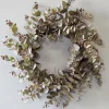 Decorator's Warehouse 24" Eucalyptus Wreath > Christmas Decor|All Wreaths