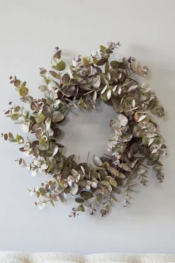 Decorator's Warehouse 24" Eucalyptus Wreath > Christmas Decor|All Wreaths
