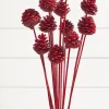 Decorator's Warehouse 21" Euro Cone Pick - Red > Farmhouse|Christmas Sprays
