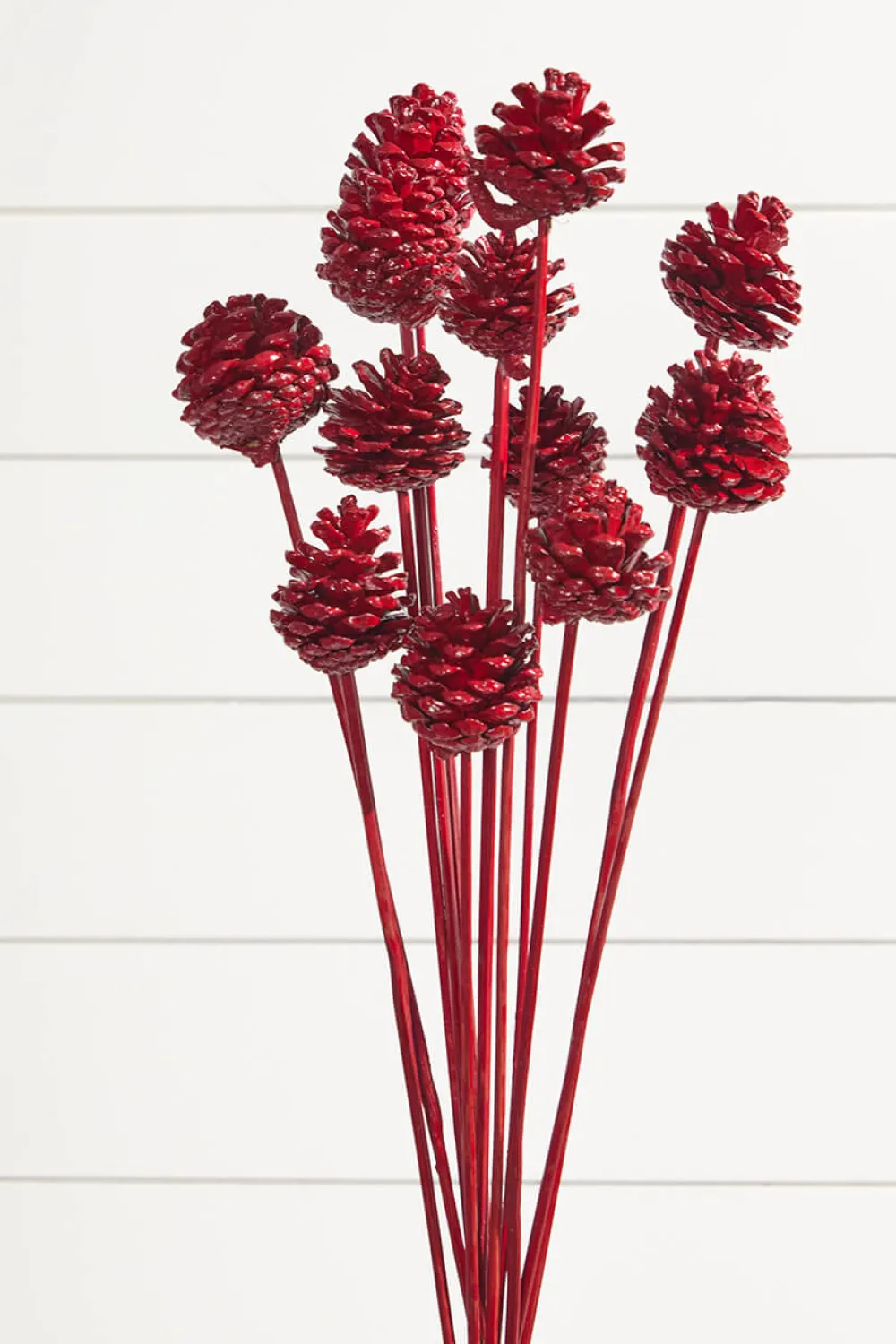 Decorator's Warehouse 21" Euro Cone Pick - Red > Farmhouse|Christmas Sprays