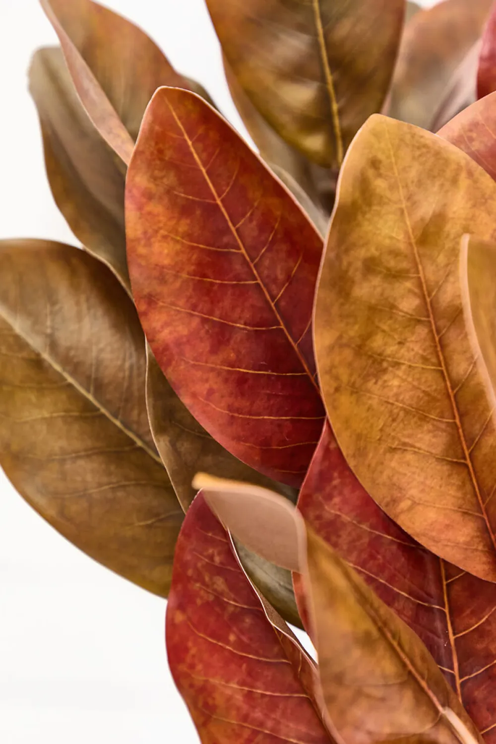 Decorator's Warehouse 45" Fall Magnolia Leaf Spray > Fall Decor|Christmas Sprays