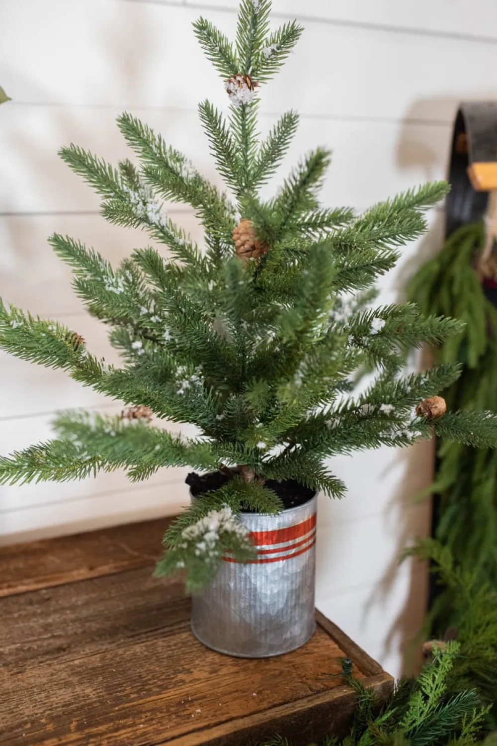 Decorator's Warehouse 24” Farmhouse Potted Snowy Pine Tree > Farmhouse|Tabletop & Accent Trees
