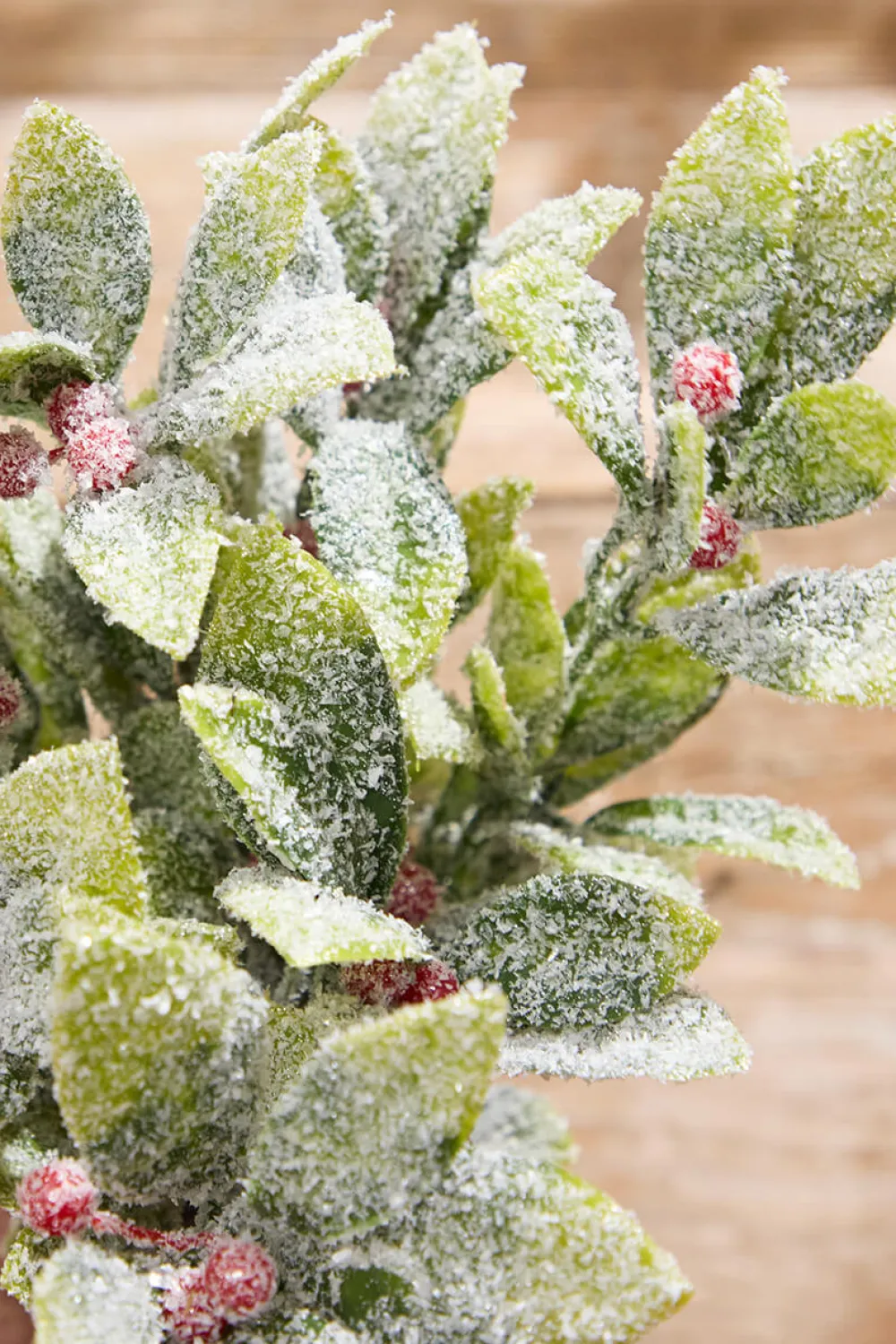Decorator's Warehouse 17" Flocked Mistletoe Christmas Bush > Cardinal|Christmas Sprays