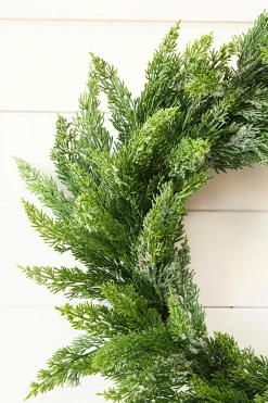 Decorator's Warehouse 22" Frosted Cedar Wreath > Natural Greenery|Christmas Decor