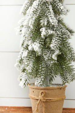 Decorator's Warehouse 18” Frosted Downswept Pine In Burlap Pot > Tabletop & Accent Trees|Christmas Accents