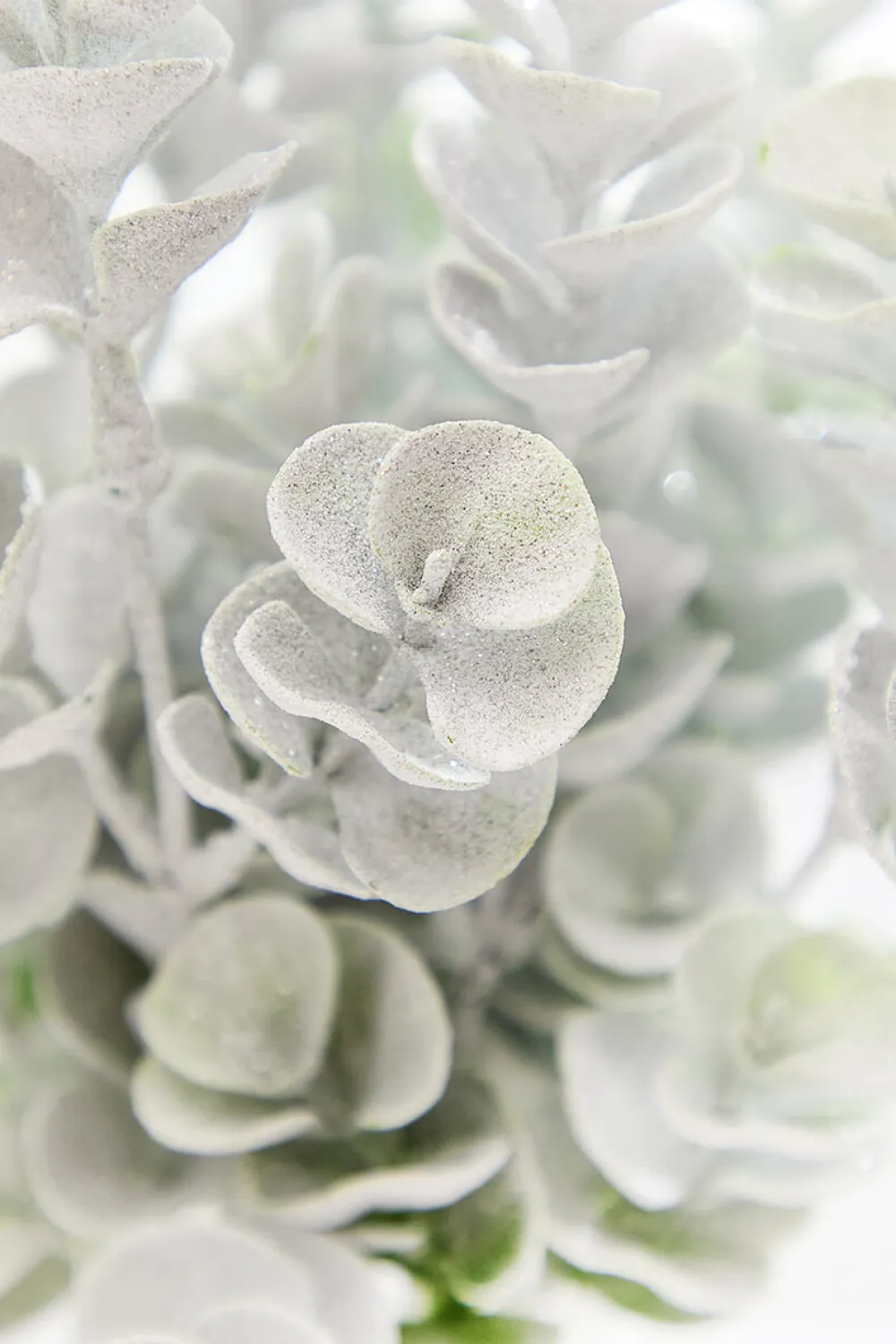 Decorator's Warehouse 16" Frosted Eucalyptus Bush > Christmas Sprays|Christmas Decor