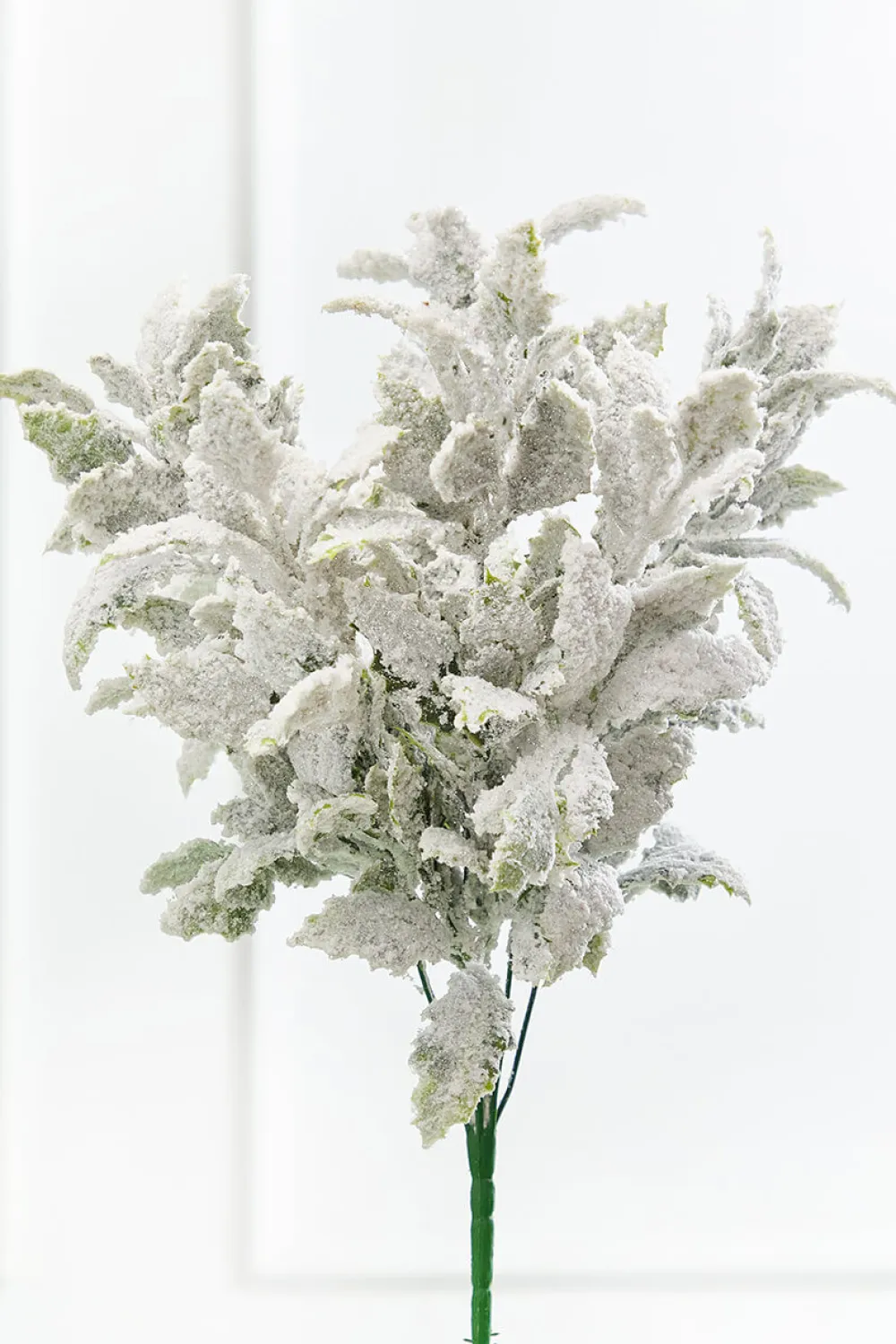 Decorator's Warehouse 19" Frosted Holly Bush > White Christmas|2026 New Additions