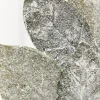 Decorator's Warehouse 32.5" Frosted Magnolia Leaf Spray > White Christmas|Christmas Sprays