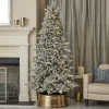 Decorator's Warehouse 6' Frosted Palmetto LED Pine Tree > Christmas Decor|Flocked Or White