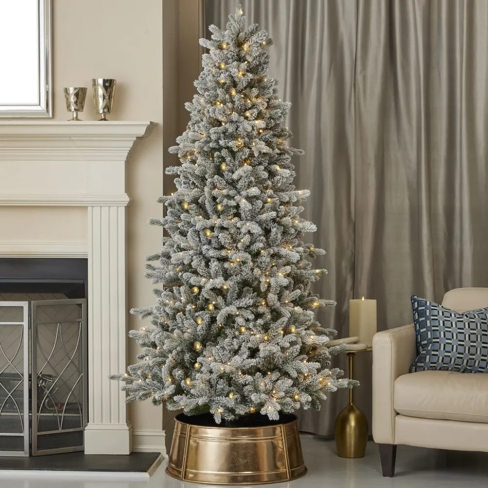 Decorator's Warehouse 6' Frosted Palmetto LED Pine Tree > Christmas Decor|Flocked Or White