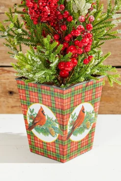 Decorator's Warehouse 26" Frost Weatherproof Berry Mini Spruce Tree in Pot > Cardinal|Tabletop & Accent Trees