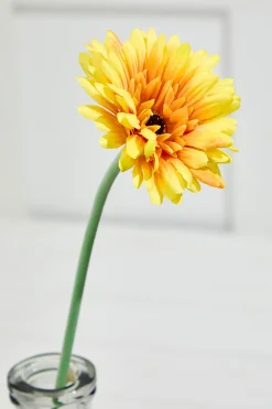 Decorator's Warehouse 22" Gerbera Daisy Stem > Christmas Decor|Spring Florals