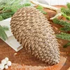 Decorator's Warehouse 12” Glitter Sequoia Pinecone Ornament - Champagne > Christmas Ornaments|Winter Woodland